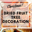 Homemade Dried Fruit Christmas Tree Decoration